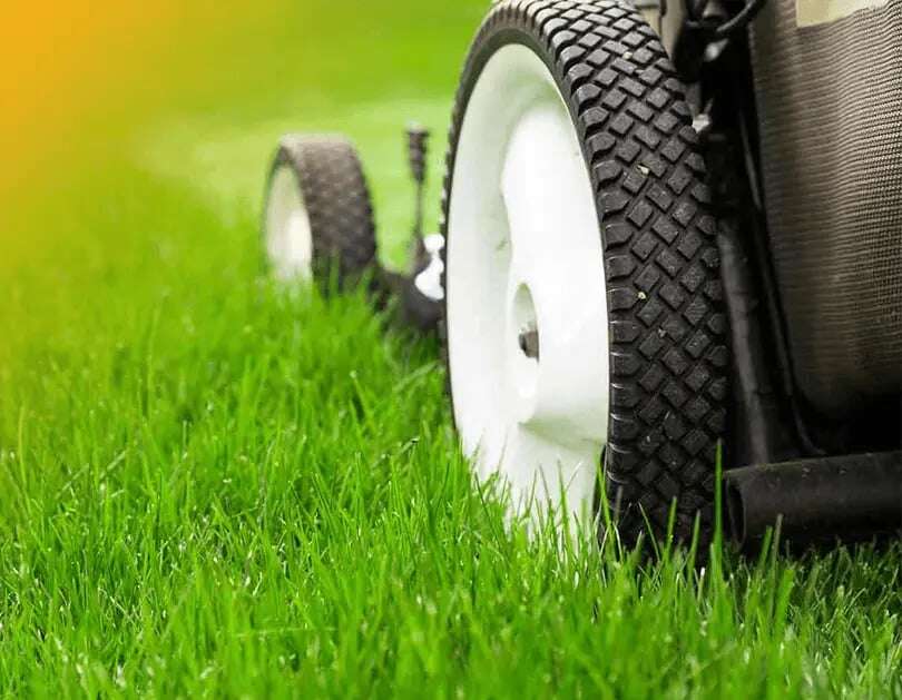 custoner-retention-lawn