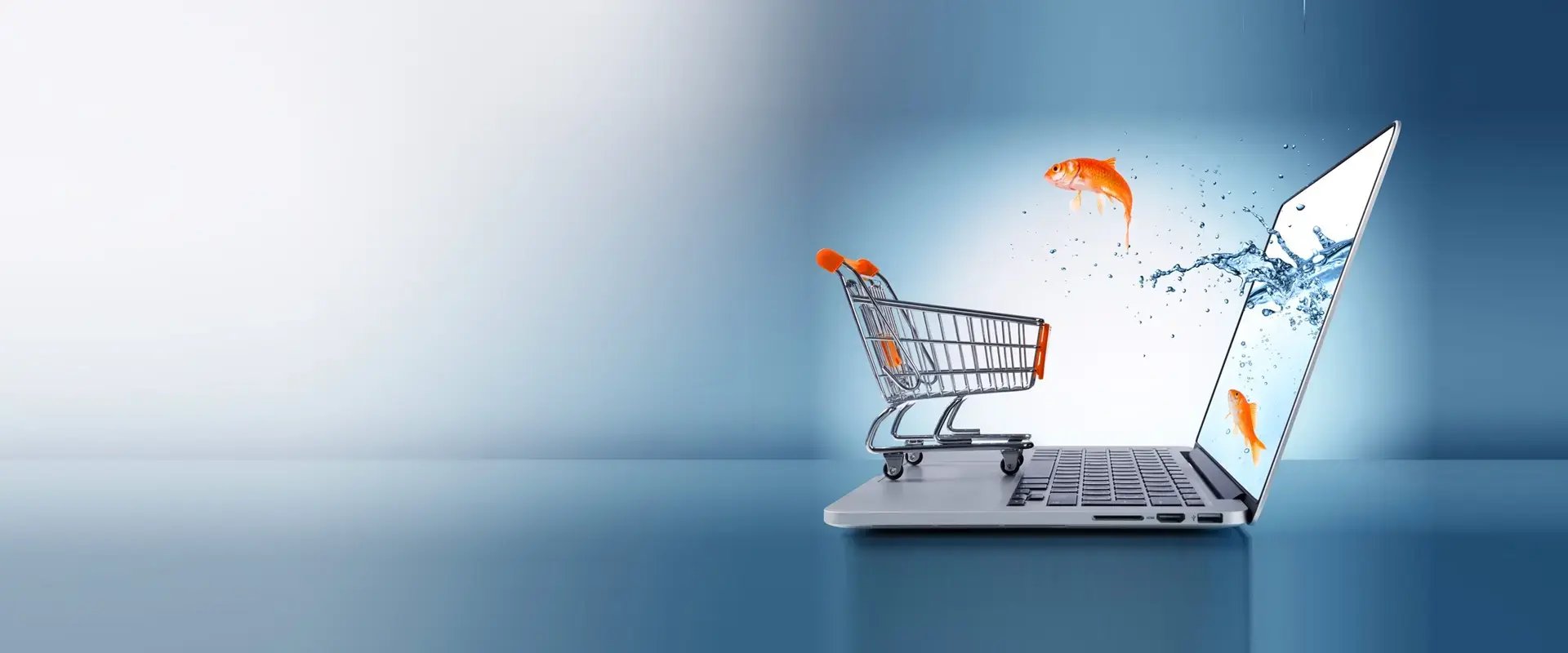 ecommerce