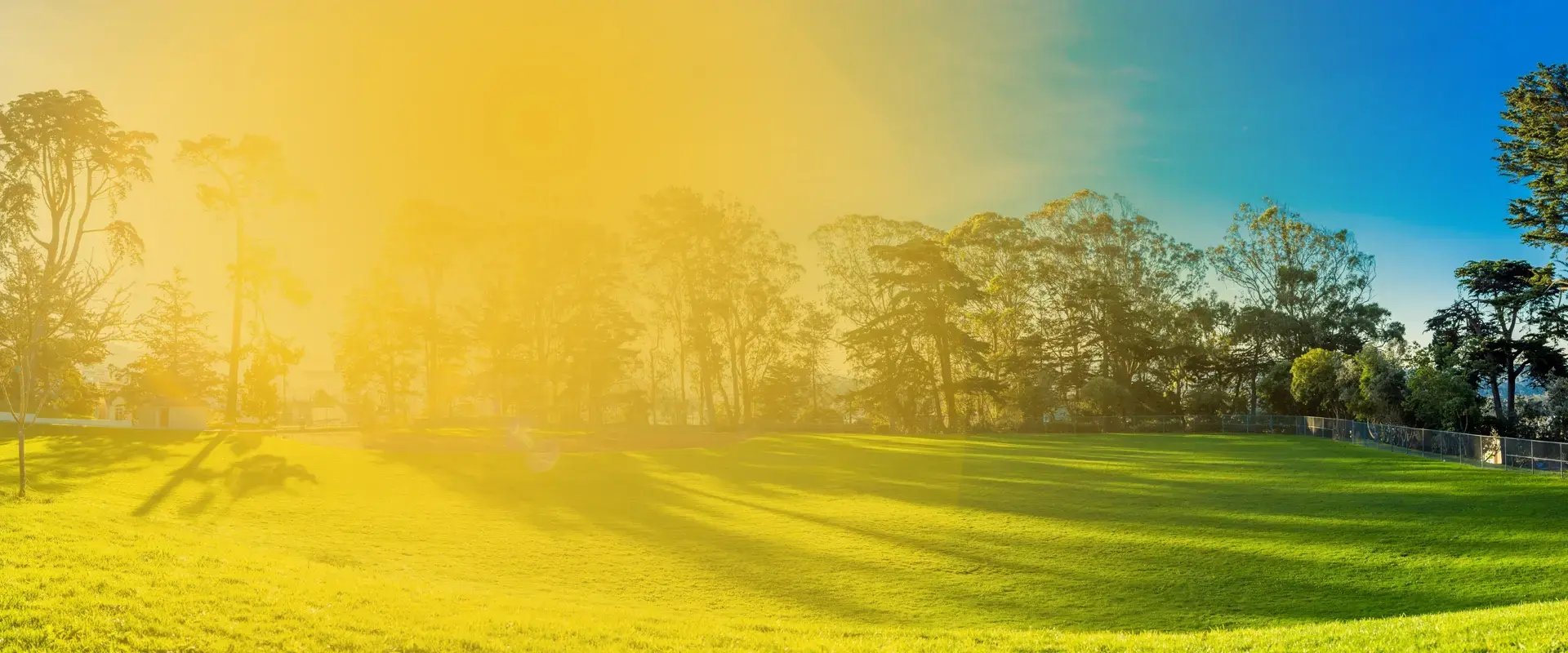 lawn