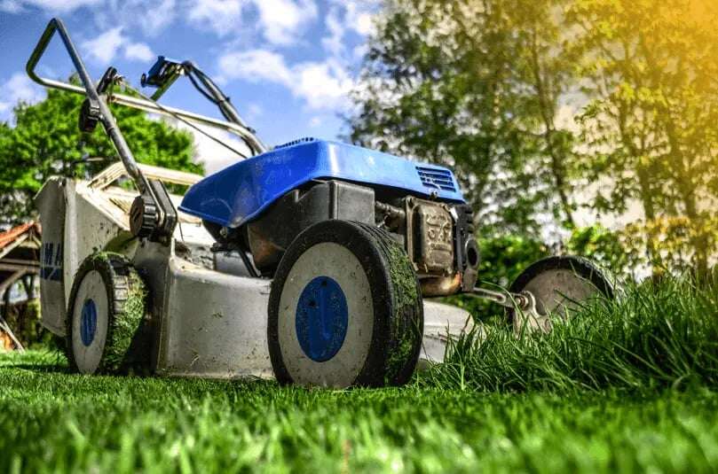patient-acqui-lawn